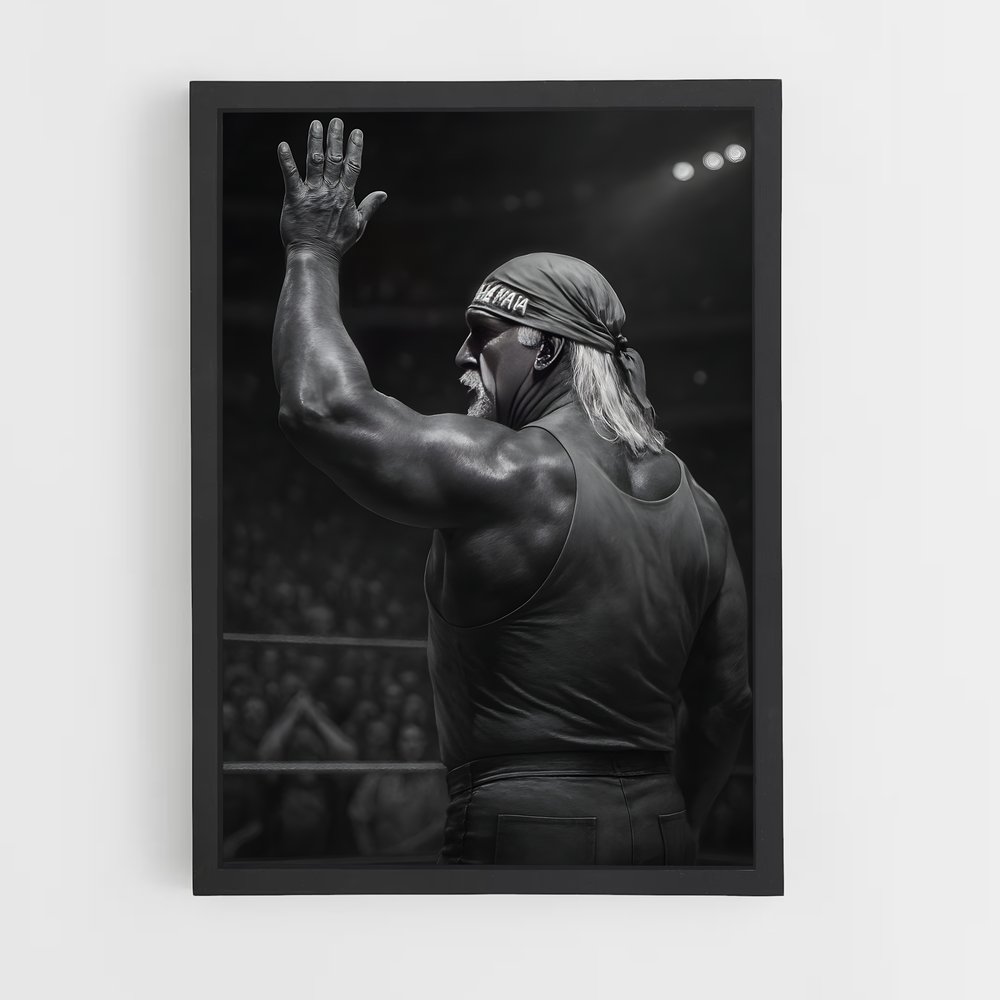 Poster Hulk hogan (vue 2)